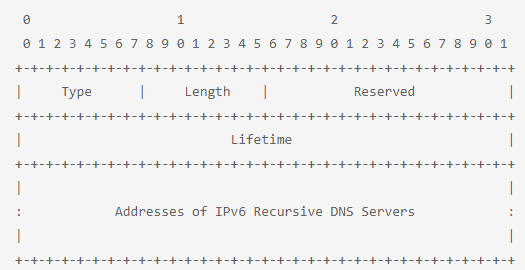 Recursive DNS Server option